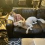 Photo of Pet Spa & Retreat