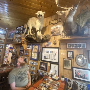 Westside Lilo's Cafe - Love the taxidermy - Breakfast & Brunch Near Me - Seligman, Arizona Westside Lilo's Cafe - Love the taxidermy - Breakfast & Brunch Near Me - Seligman, Arizona