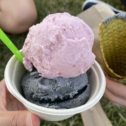Black Sesame Ice Cream
