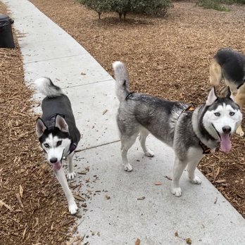 William Pacchetti Dog Park - Dog Parks Near Me - Seaside, California