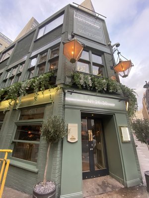 Theodore Bullfrog by null