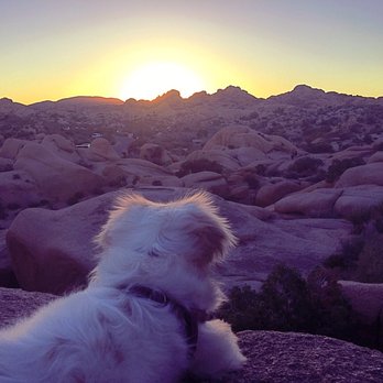 Jumbo Rocks Campground - Hiking Near Me - Twentynine Palms, California