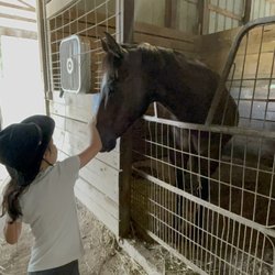 Blue Ribbon Farms - Petting Hershey!