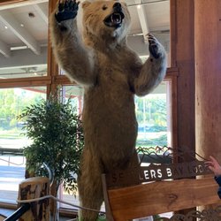 Settlers Bay Lodge - Grizzly Bear in lobby