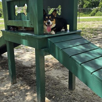 Keysville Dog Park - Doggy tree-house - Dog Parks Near Me - Deltona, Florida Keysville Dog Park - Doggy tree-house - Dog Parks Near Me - Deltona, Florida