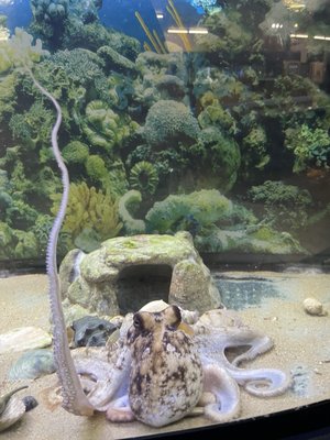 Biomes Marine Biology Center by null