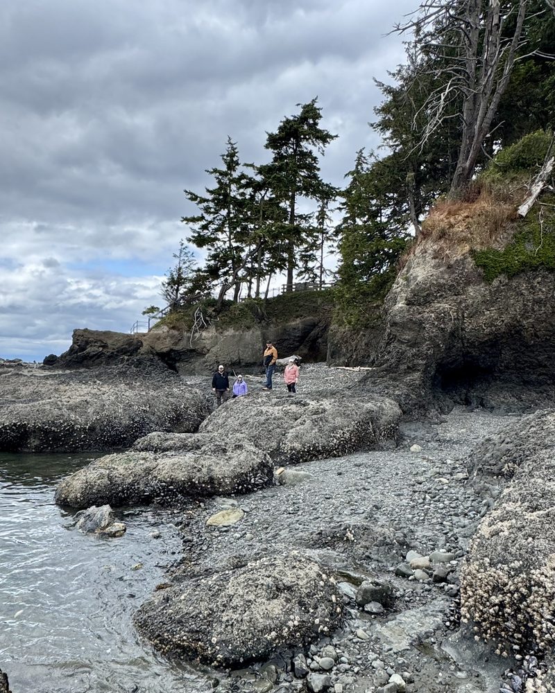 Experience Olympic Logo