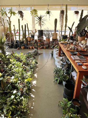 Public Land Store by null