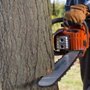 Photo of ED Professional Tree Service