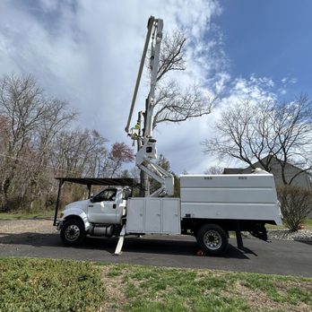 JV Strong Tree Service - Tree Services Near Me - Clementon, New Jersey JV Strong Tree Service - Tree Services Near Me - Clementon, New Jersey