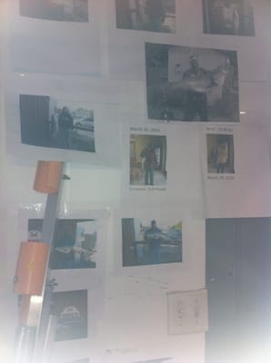 Shag's Crab & Seafood by null