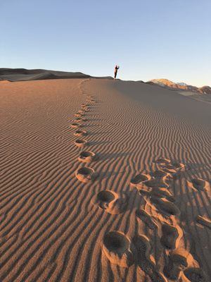 Piñon Flats Campground by null