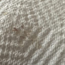 This is all the nasty cuticle I had to remove at home. A service I pay for. This is all the nasty cuticle I had to remove at home. A service I pay for.