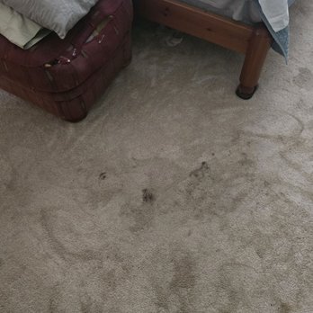 Steam Master Cleaning - Carpet Cleaning Near Me - Dallas, Texas Steam Master Cleaning - Carpet Cleaning Near Me - Dallas, Texas