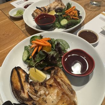 Studio Sushi - Yellow tail collar. - Sushi Bars Near Me - Studio City, California Studio Sushi - Yellow tail collar. - Sushi Bars Near Me - Studio City, California