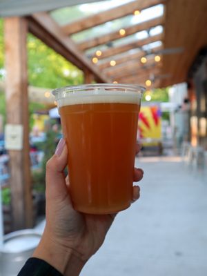 Sceptre Brewing Arts by null