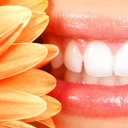 North Coast Dental Excellence