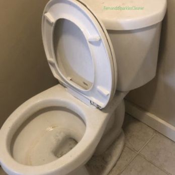 FernandaSparklesCleaner - Toilet before - Home Cleaning Near Me