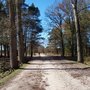 Photo of Von Sudermühlen über die Lüneburger Heide
