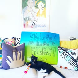 Pet Assistance Foundation - Frisbee in his new forever home!