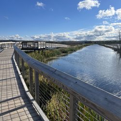 Arcadia Marsh