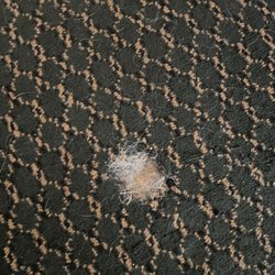 Suburban Extended Stay Hotel Columbia - Hwy 63 & I-70 - Ripped hole in the hotel carpet