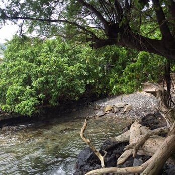 Turtle Town - Diving Near Me - Wailea-Makena, Hawaii