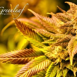 R.Greenleaf Westside - Albuquerque Dispensary