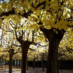 Schloßgarten