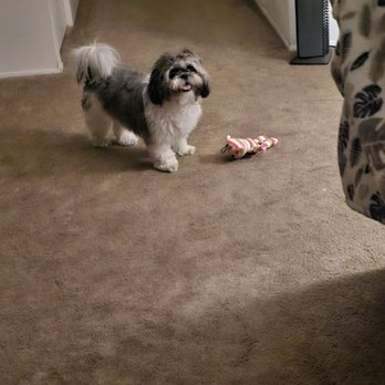 Petco - Before the butcher, my trip to Petco - Pet Stores Near Me - Chula Vista, California