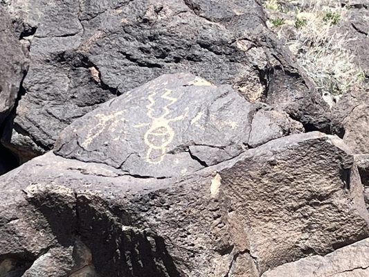 Petroglyph National Monument by null