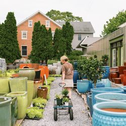 Perfect Pots - Large pottery selection at our greenhouse