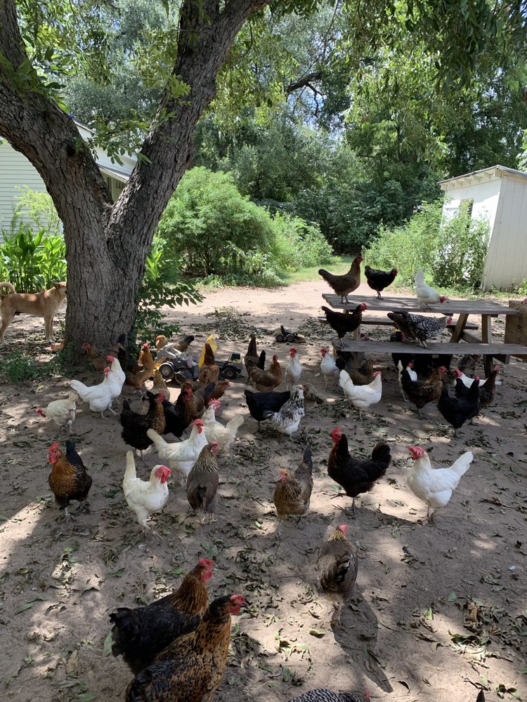 BOGGY CREEK FARM Updated August 2024 80 Photos & 49 Reviews 3414