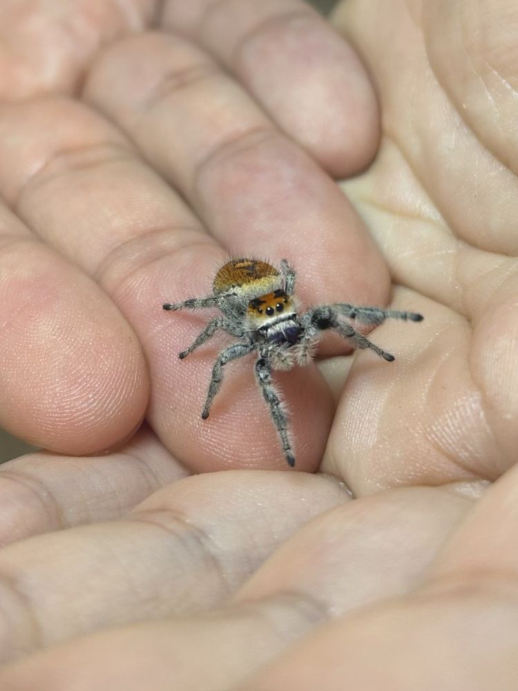 Northwest Seed & Pet - beekeeping in Spokane, WA