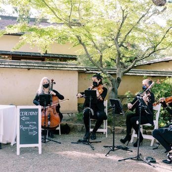 Musical Heart Strings - Performing Arts Near Me - Martinez, California