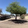 Photo of Az Elite Landscaping and Maintenance