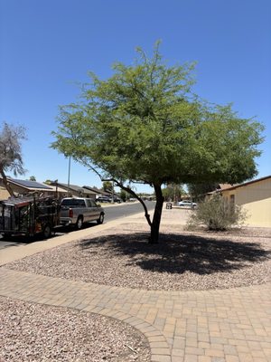 Az Elite Landscaping and Maintenance on Yelp