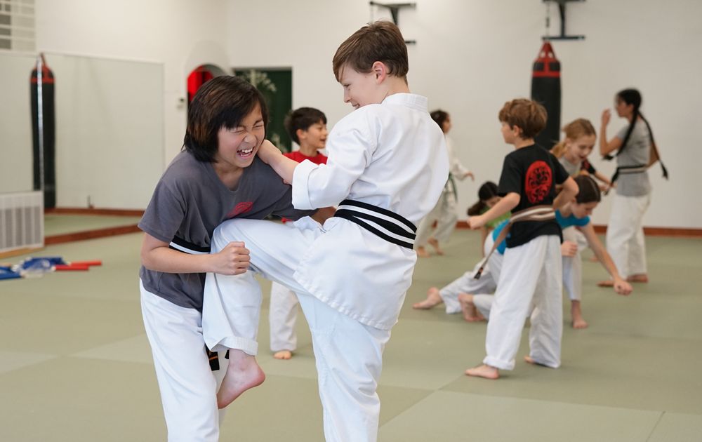 Karatedo Shinyokai Logo