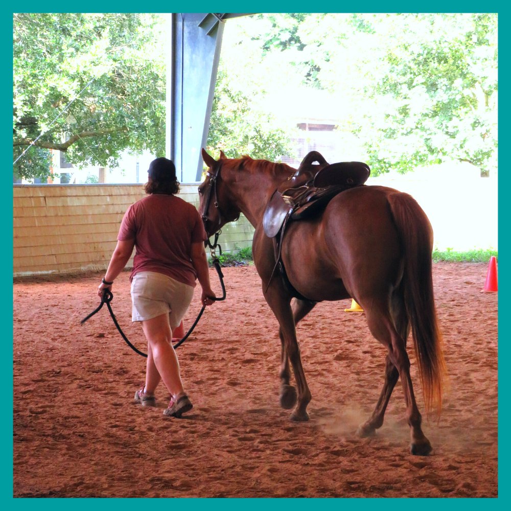 SIRE THERAPEUTIC HORSEMANSHIP Updated October 2024 2100 Preston St