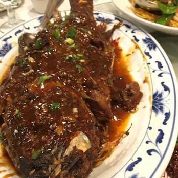 Chef Chu's - whole rock cod in hot chili bean sauce, with shiitake mushrooms and ginger - Chinese Near Me - Los Altos, California Chef Chu's - whole rock cod in hot chili bean sauce, with shiitake mushrooms and ginger - Chinese Near Me - Los Altos, California