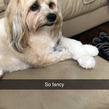 Perfect Pet Spaw - Pet Groomers Near Me - Temecula, California Perfect Pet Spaw - Pet Groomers Near Me - Temecula, California