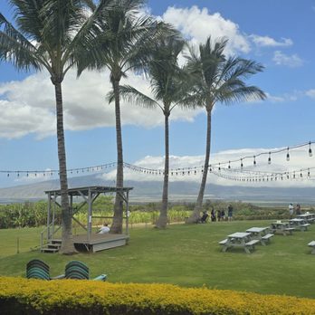 Ocean Organic Farm and Distillery - View from the restaurant - Cafes Near Me - Kula, Hawaii Ocean Organic Farm and Distillery - View from the restaurant - Cafes Near Me - Kula, Hawaii