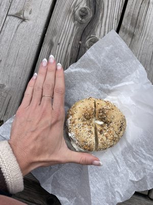 Pearl Street Bagels by null
