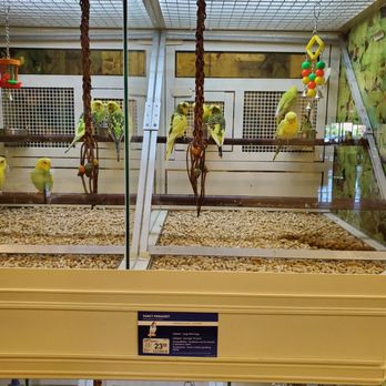 PetSmart - Parakeets - Pet Stores Near Me - Sacramento, California