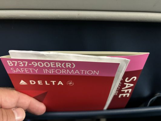Delta Air Lines by null
