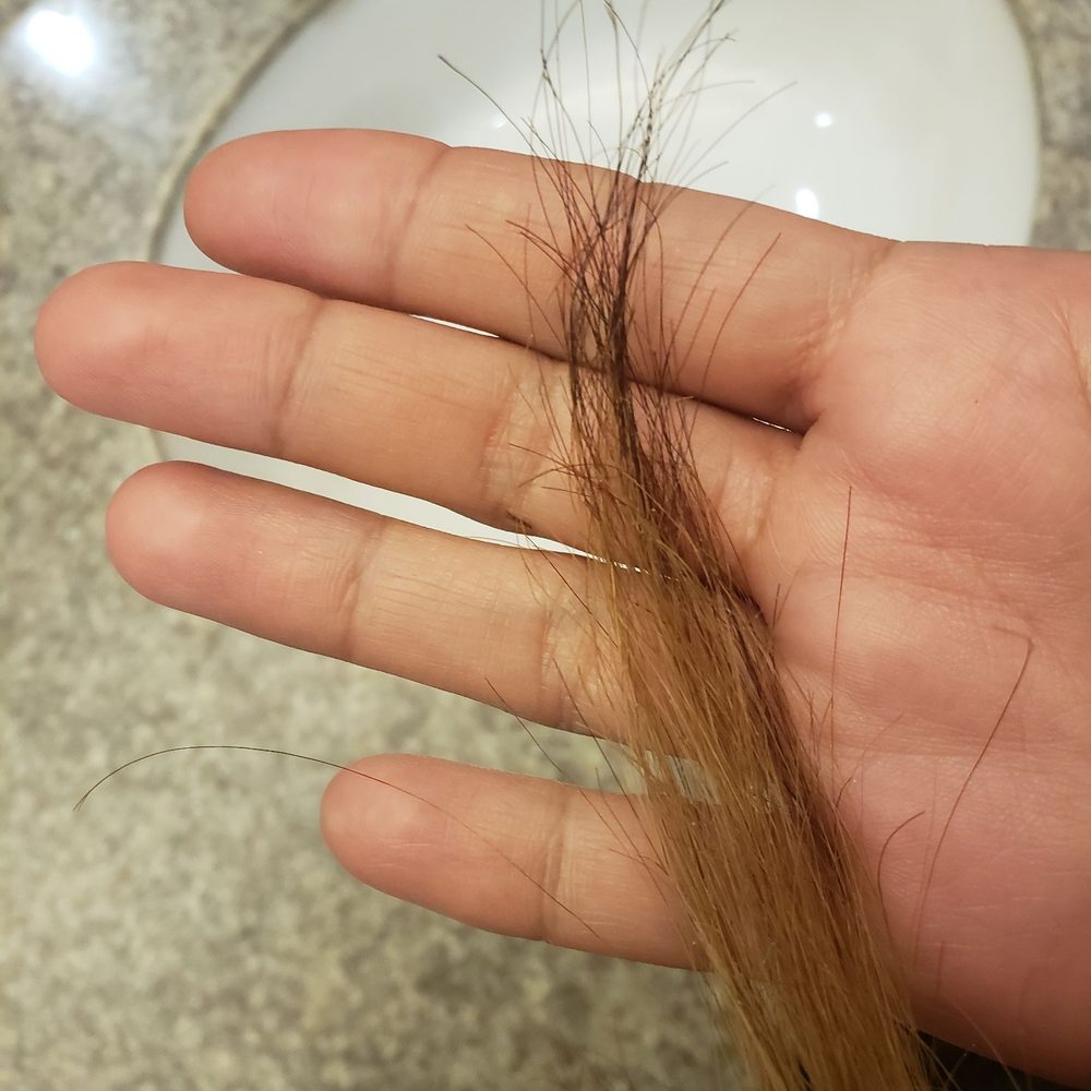 Blonde strands with black tips all over Blonde strands with black tips all over
