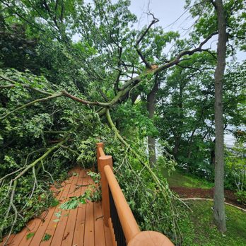Hoffmann Tree Service - Tree Services Near Me - Montello, Wisconsin Hoffmann Tree Service - Tree Services Near Me - Montello, Wisconsin