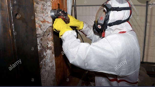 Anthi Environmental - mold inspector in New York, NY