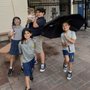 Photo of St Viator Catholic School