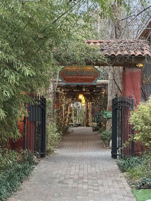 Casa de Luz Village by null